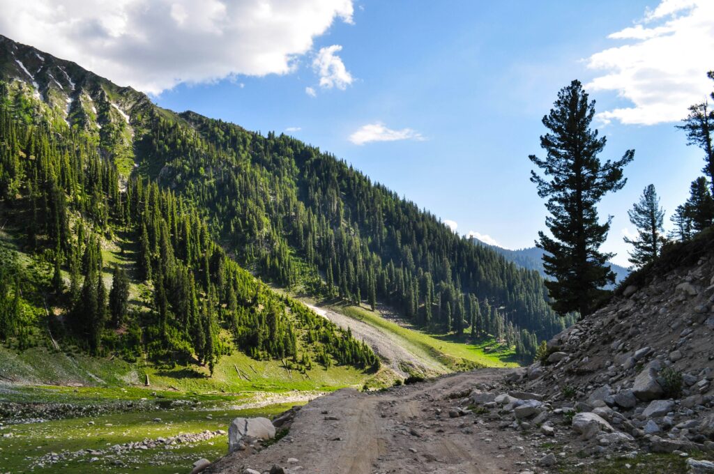 travel